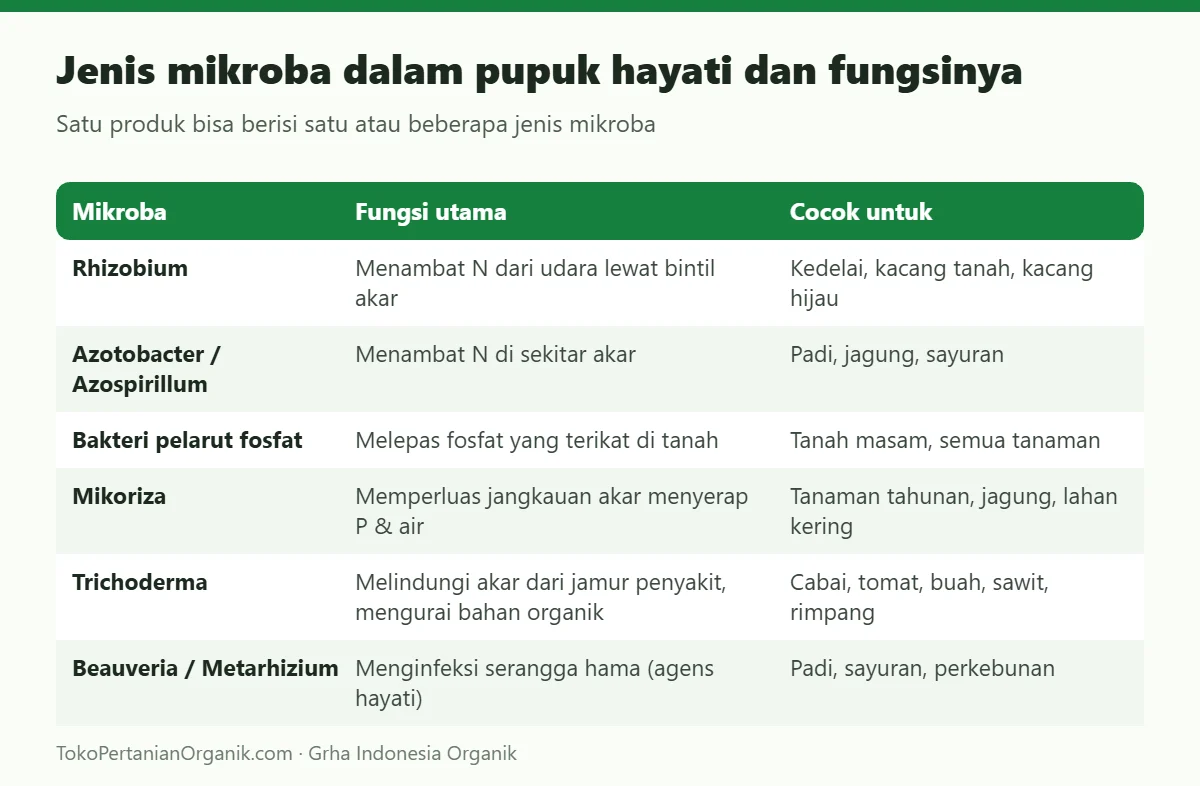 Jenis mikroba dalam pupuk hayati dan fungsinya