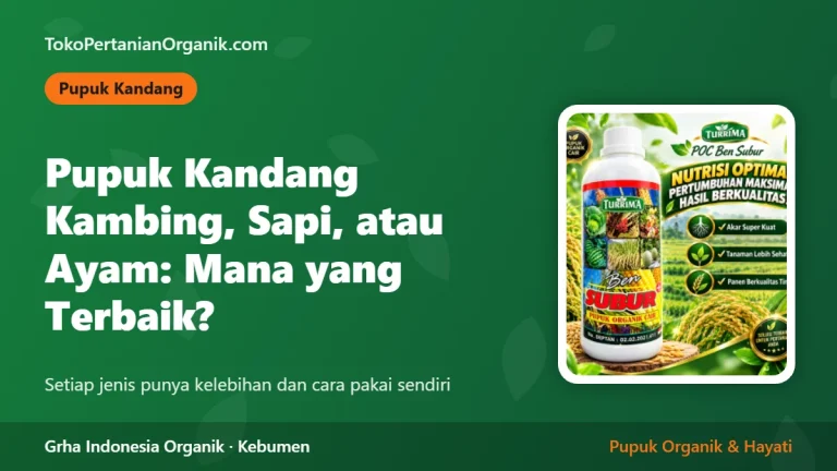 Pupuk Kandang Kambing, Sapi, atau Ayam: Mana yang Terbaik untuk Tanaman?
