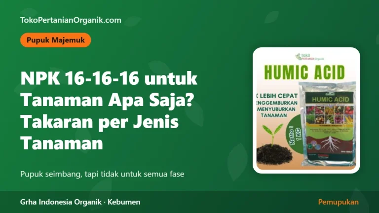 Pupuk NPK 16-16-16 untuk Tanaman Apa Saja? Dosis per Jenis Tanaman