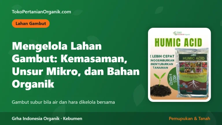 Mengelola Lahan Gambut: Kemasaman, Unsur Mikro, dan Bahan Organik