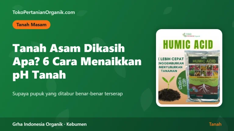 Tanah Asam Dikasih Apa? 6 Cara Menaikkan pH Tanah Tanpa Merusak Struktur