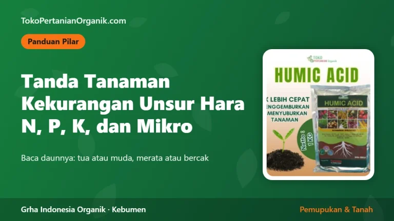 Tanda Tanaman Kekurangan Unsur Hara N, P, K, dan Mikro: Panduan Diagnosa Lengkap