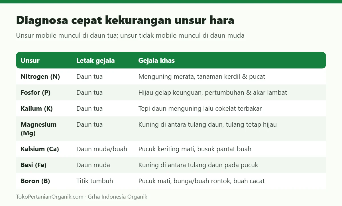 Diagnosa cepat kekurangan unsur hara
