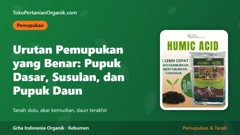 Urutan Pemupukan yang Benar: Pupuk Dasar, Susulan, dan Pupuk Daun