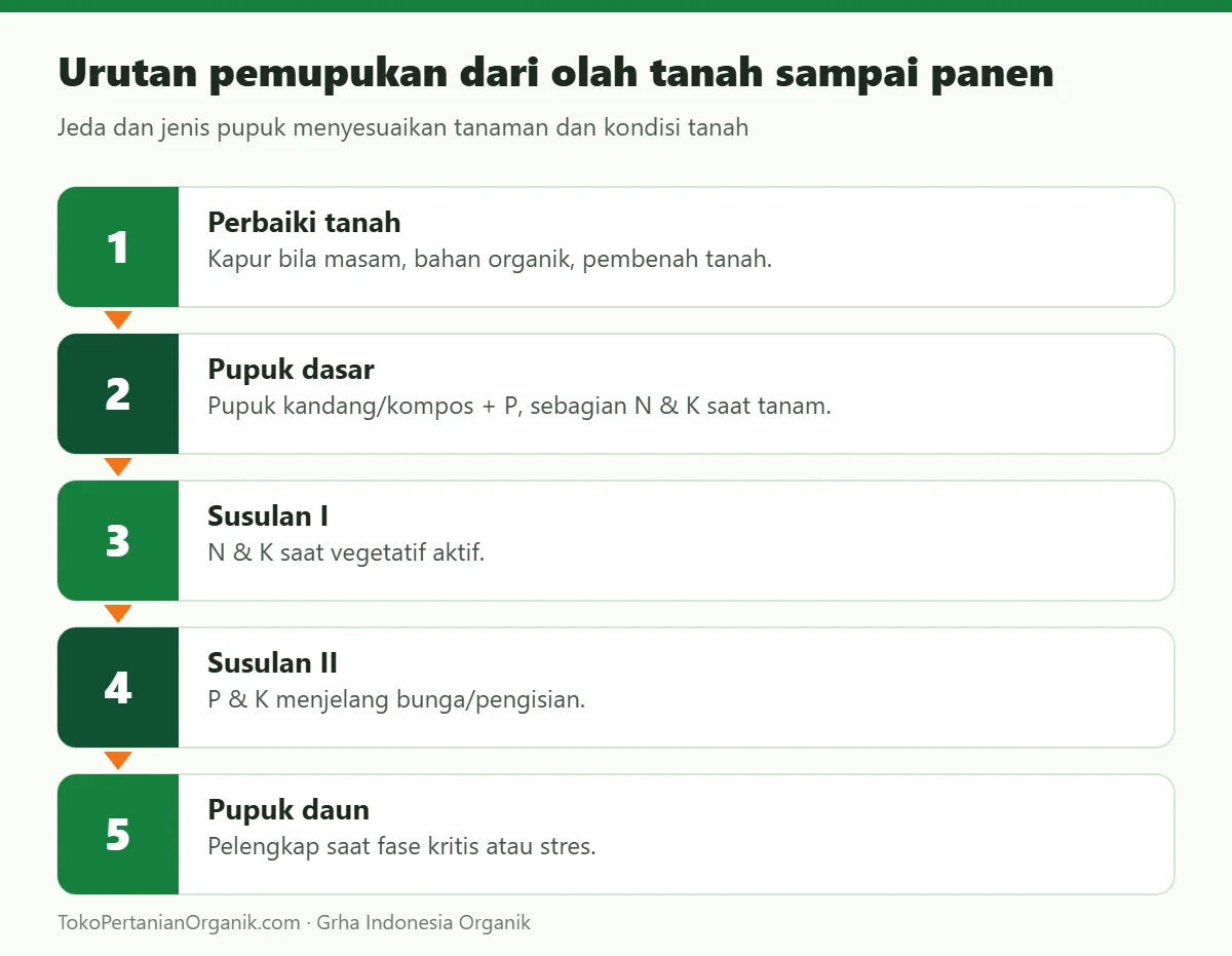 Urutan pemupukan dari olah tanah sampai panen