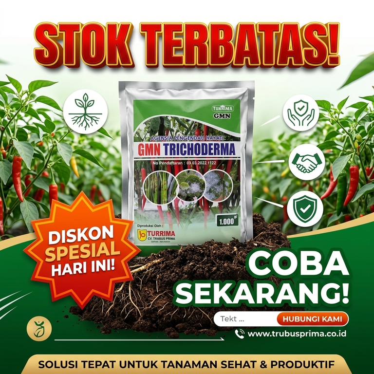 ASLI!!! HUB: 0823-2292-4990 Supplier Obat Layu Pada Melon Semarang, Jual Obat Patek Ampuh Brebes