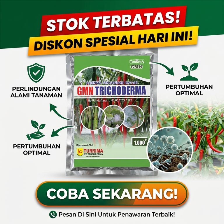 PROMO!!! HUB: 0823-2292-4990 Grosir Obat Layu Pada Semangka Kebumen, Supplier Obat Layu Pada Melon Semarang