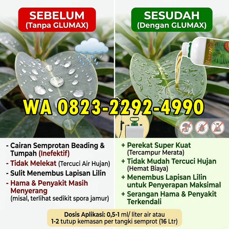 TERBAIK!!! HUB: 0823-2292-4990 Harga Perekat Pupuk Cair Pidie Jaya, Distributor Perekat Pupuk Organik Cair Nagan Raya