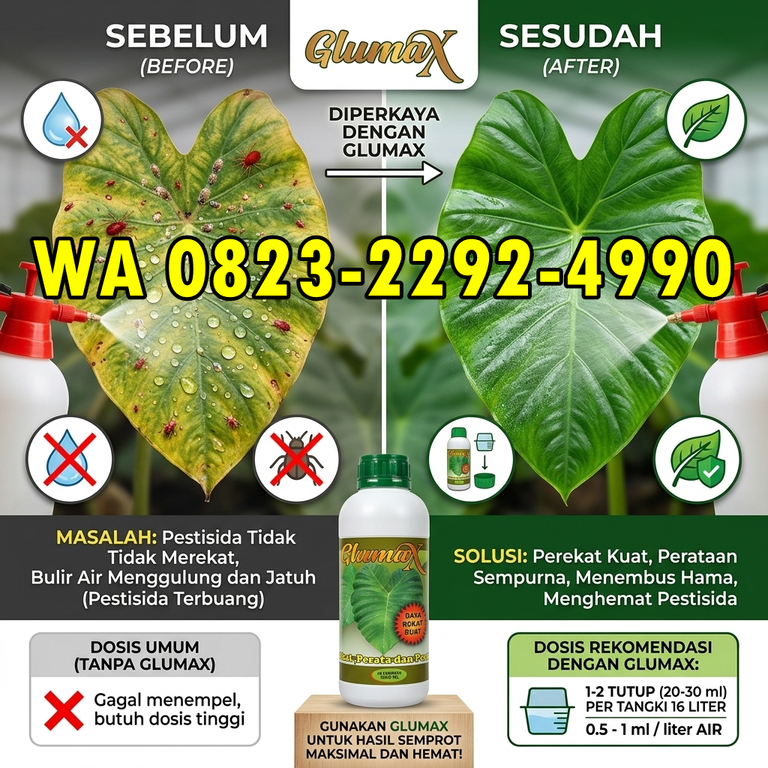TERBARU!!! HUB: 0823-2292-4990 Grosir Perekat Pupuk dan Pestisida Subulussalam, Pabrik Perekat Pupuk Daun Aceh Singkil