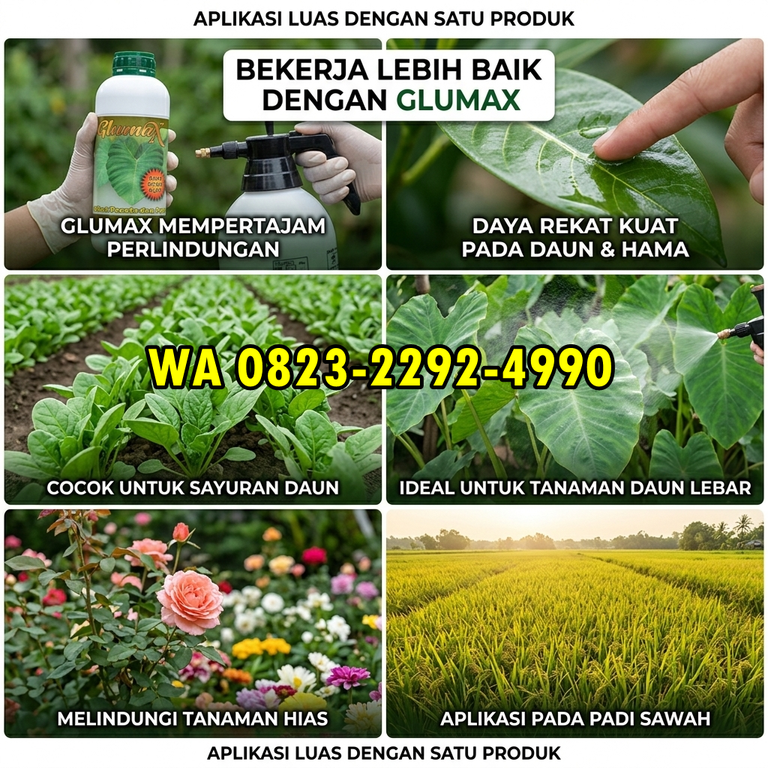 TERPERCAYA!!! HUB: 0823-2292-4990 Distributor Perekat Pupuk Organik Cair Nagan Raya, Agen Perekat Pupuk Buah Aceh Barat Daya